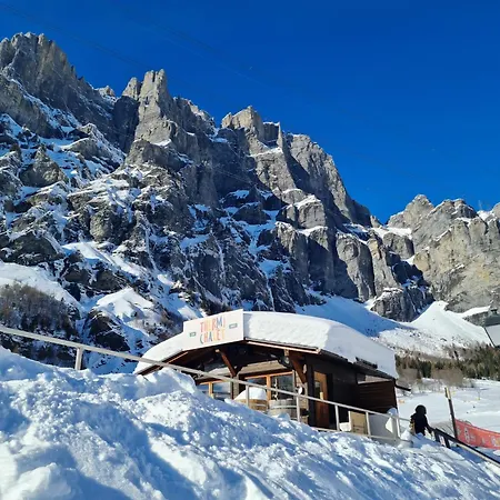 Lucky Fox Apartment Leukerbad Exterior photo